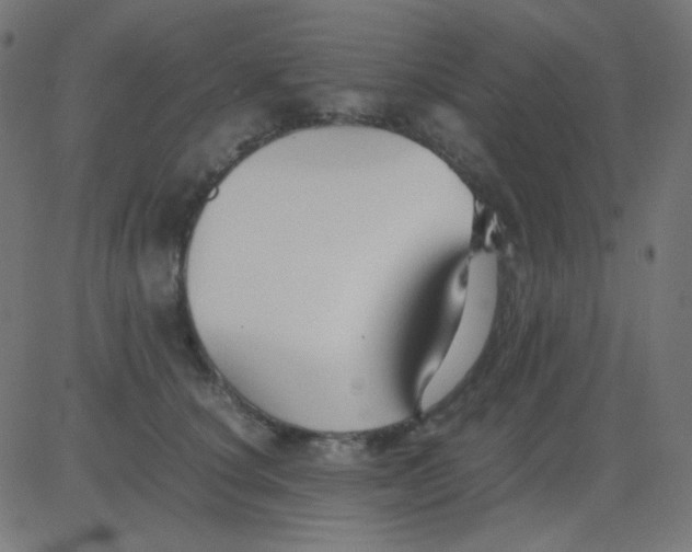 X0000081310660200702012335