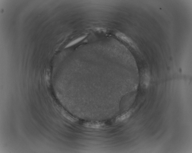 X0000081310661200702012335