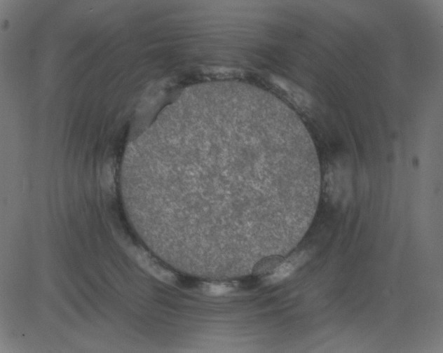 X0000081310662200702012335