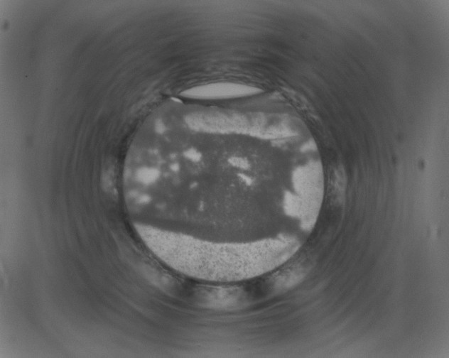 X0000081310663200702012336