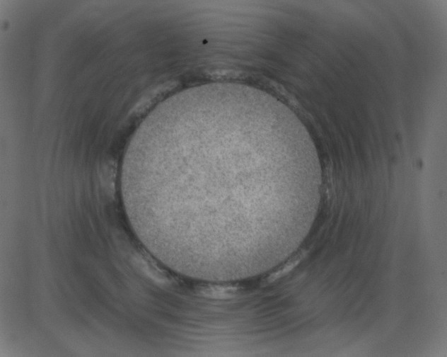 X0000081310664200702012336