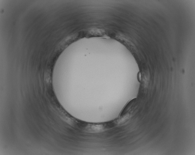 X0000081310665200702012336