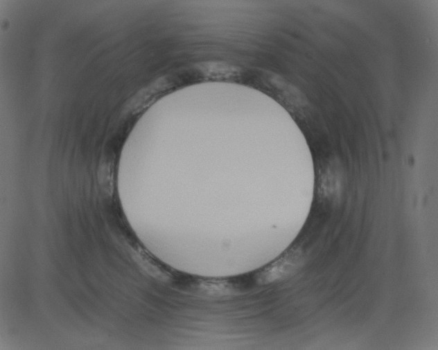 X0000081310666200702012336