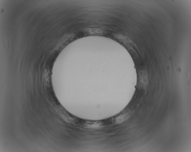 X0000081310667200702012336