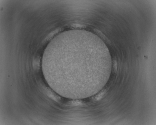 X0000081310668200702012336