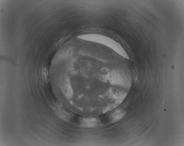 X0000081310669200702012336