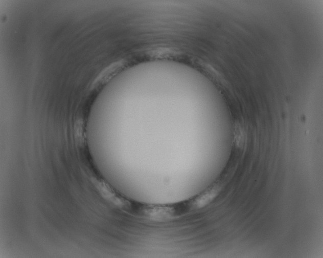 X0000081310670200702012336