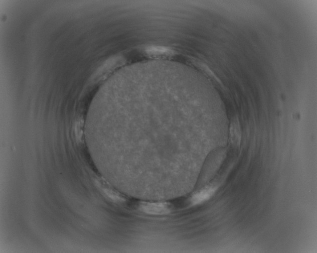 X0000081310671200702012336