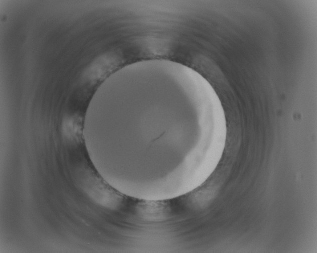 X0000081310672200702012336