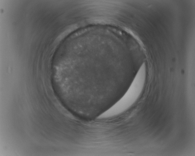 X0000081310673200702012335