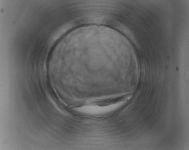 X0000081310674200702012335