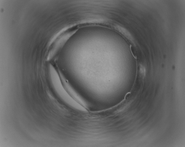 X0000081310676200702012335