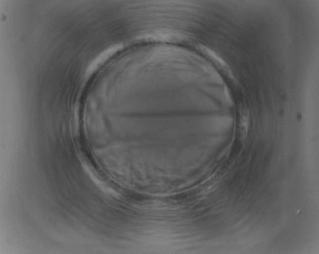 X0000081310678200702012335