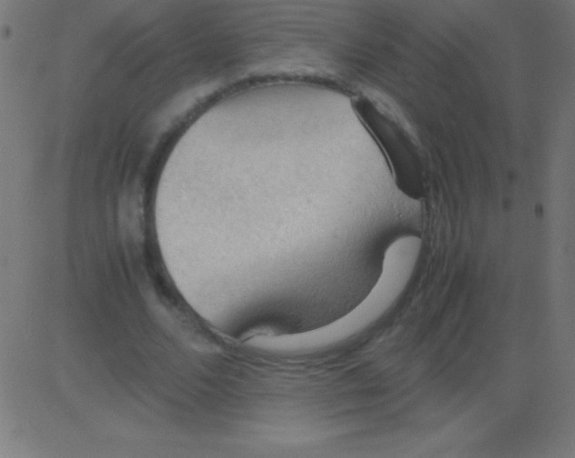 X0000081310680200702012335