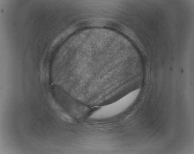 X0000081310681200702012335