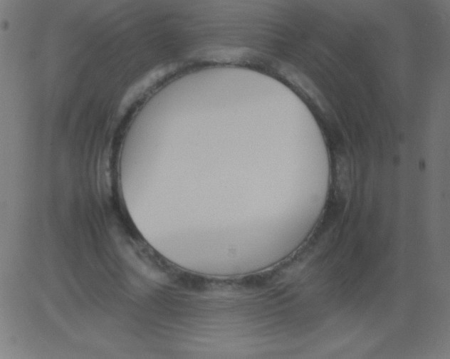 X0000081310682200702012335