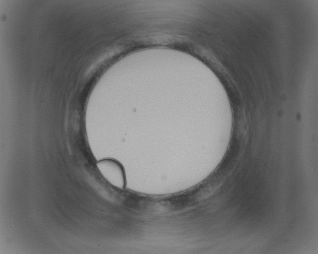 X0000081310683200702012335