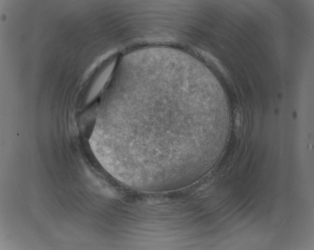 X0000081310684200702012335