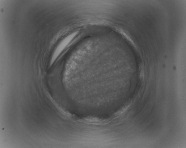 X0000081310685200702012335