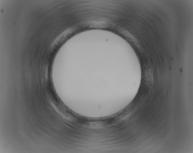 X0000081310686200702012335