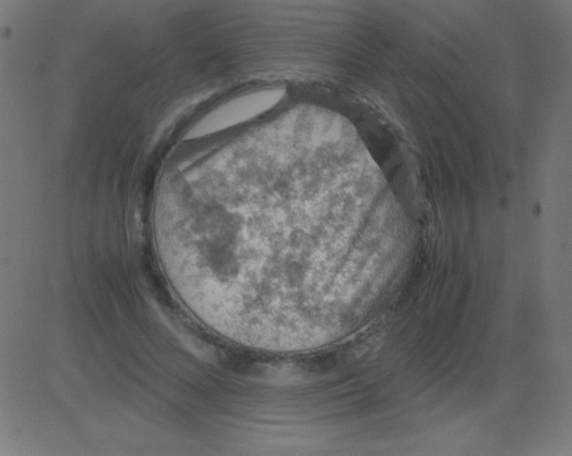 X0000081310688200702012335