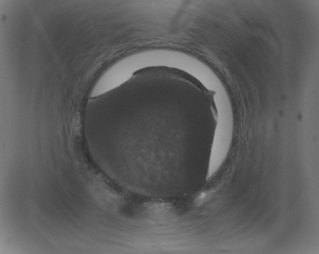 X0000081310689200702012335