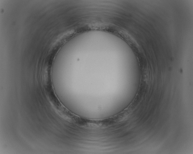 X0000081310690200702012335