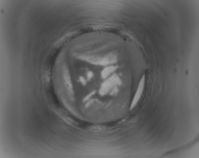 X0000081310691200702012335