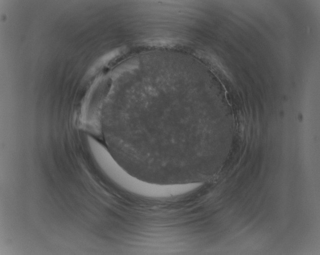 X0000081310692200702012335