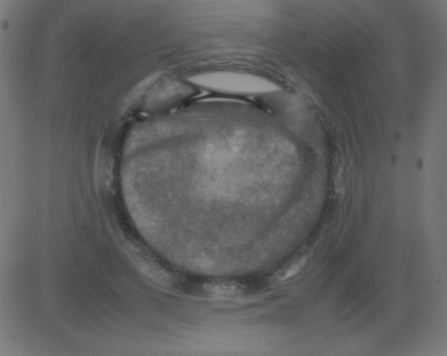 X0000081310693200702012335