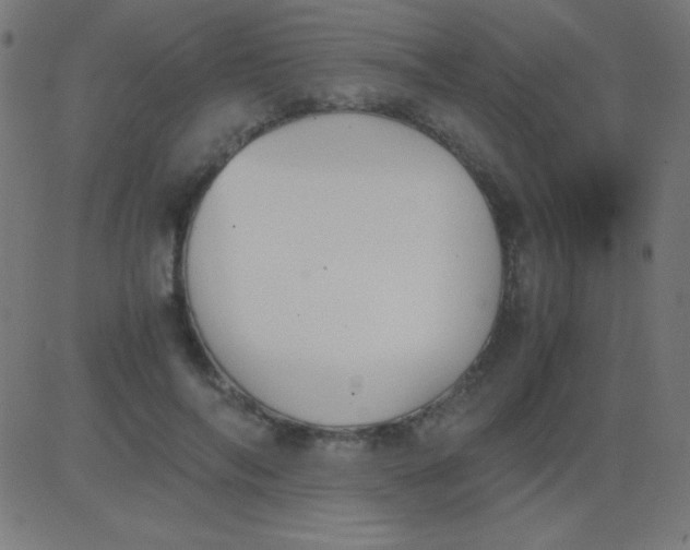 X0000081310694200702012335