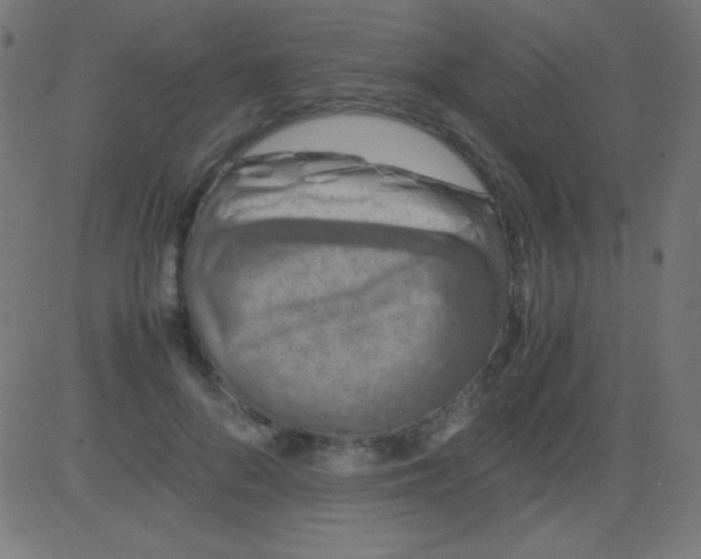 X0000081310696200702012335