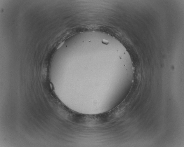 X0000081310697200702012334