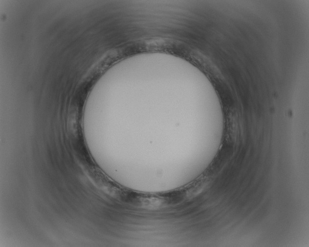 X0000081310698200702012334