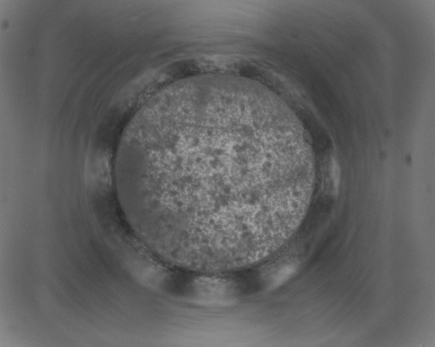 X0000081310699200702012334