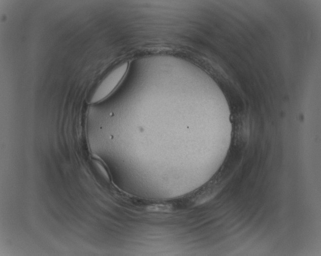 X0000081310700200702012334