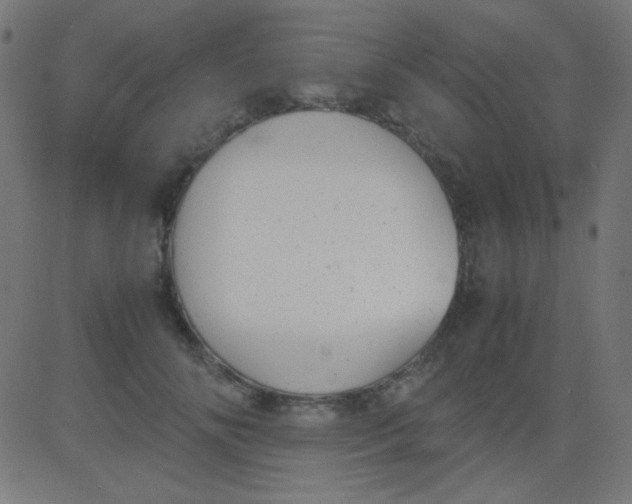 X0000081310702200702012334