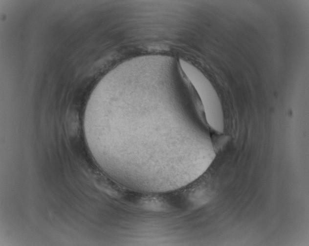 X0000081310704200702012334