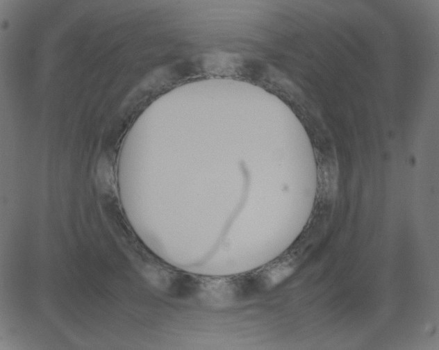 X0000081310705200702012334