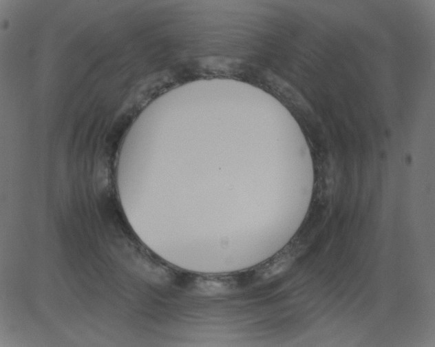 X0000081310706200702012334