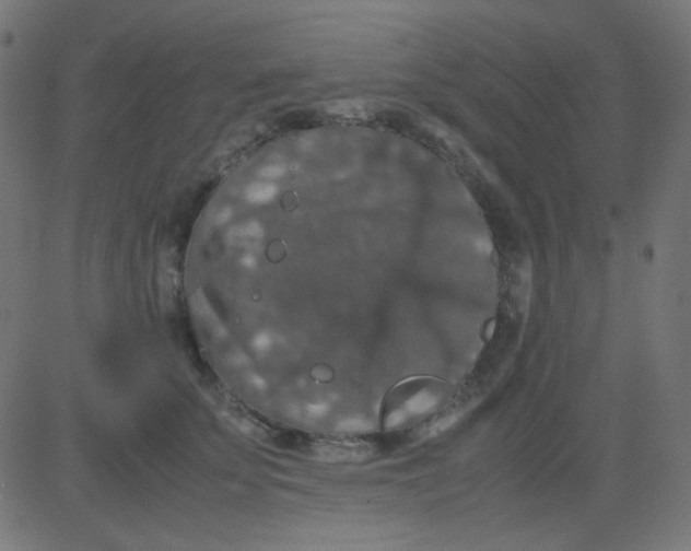 X0000081310707200702012334