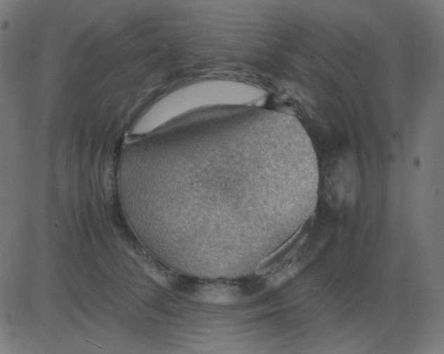 X0000081310708200702012334