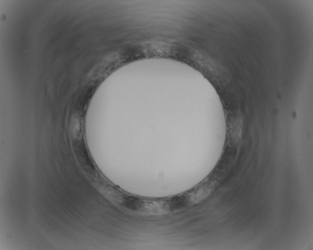 X0000081310709200702012334