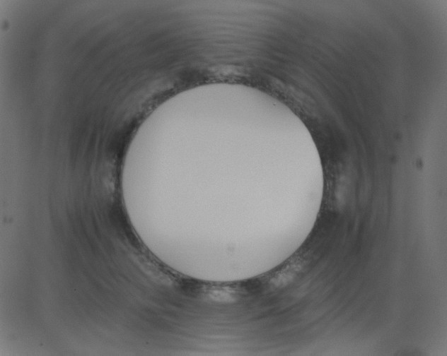 X0000081310710200702012334