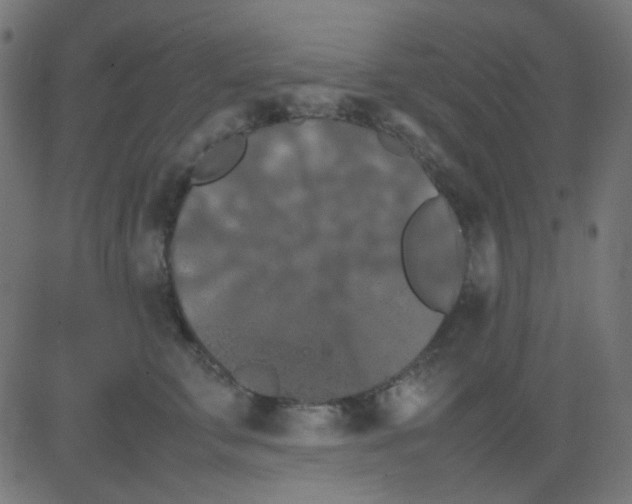 X0000081310711200702012334