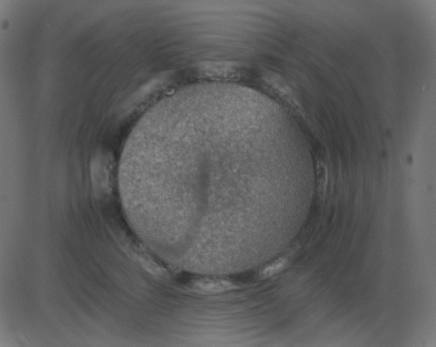 X0000081310712200702012334