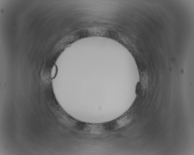 X0000081310713200702012334