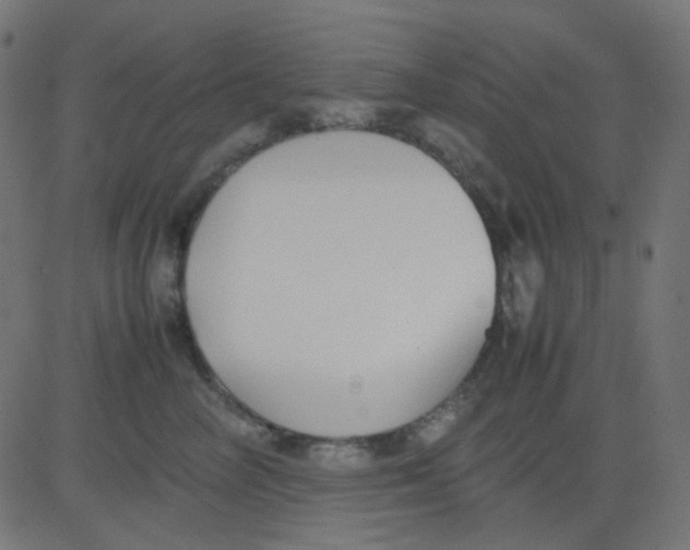 X0000081310714200702012334