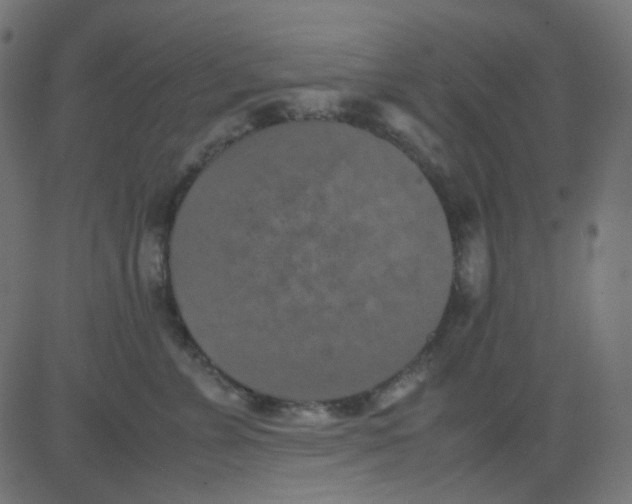 X0000081310715200702012334