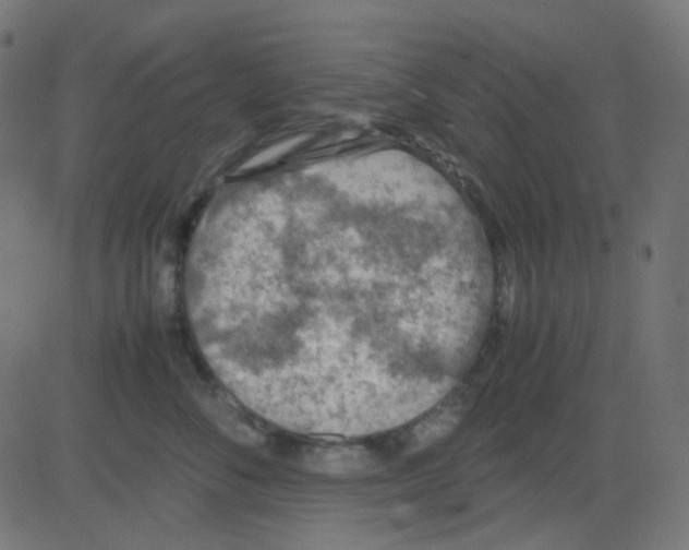 X0000081310716200702012334